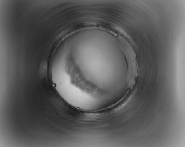 X0000088210825200705292051