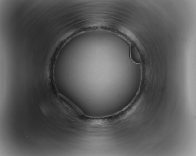 X0000088210826200705292051