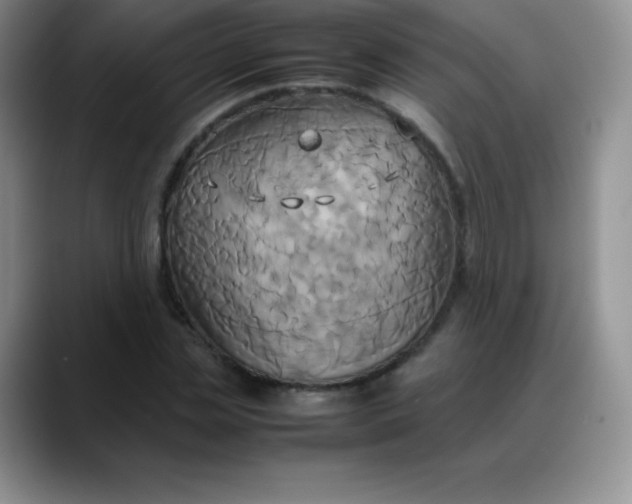 X0000088210829200705292051