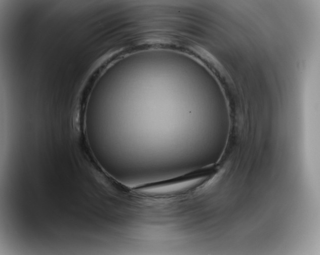 X0000088210830200705292051