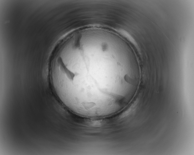X0000088210831200705292051