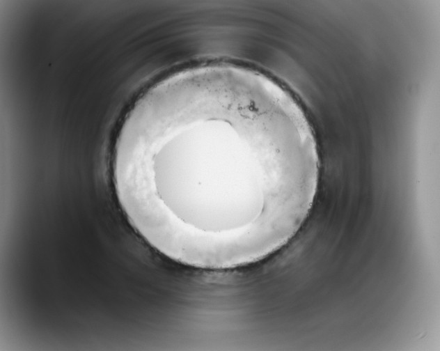 X0000088210832200705292051