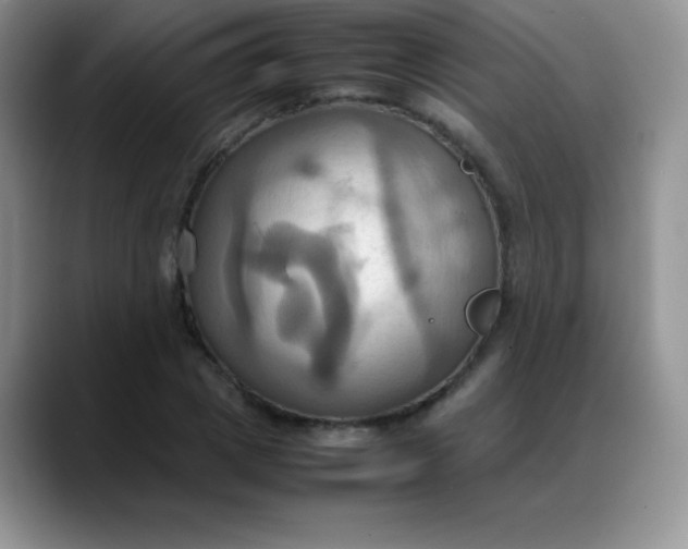 X0000088210833200705292051