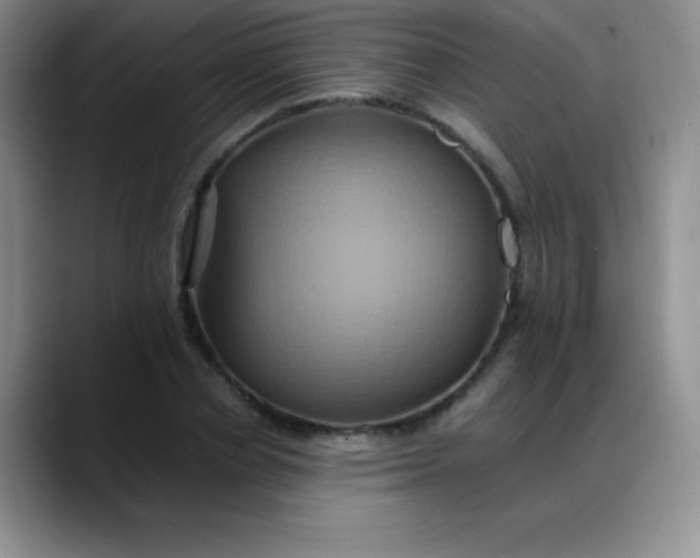 X0000088210834200705292051