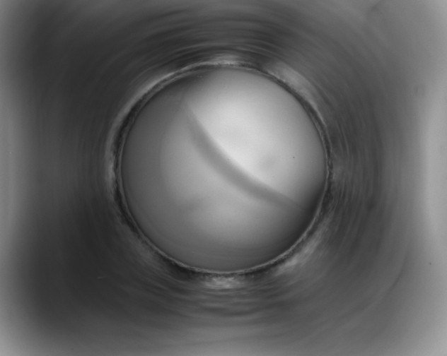 X0000088210835200705292051