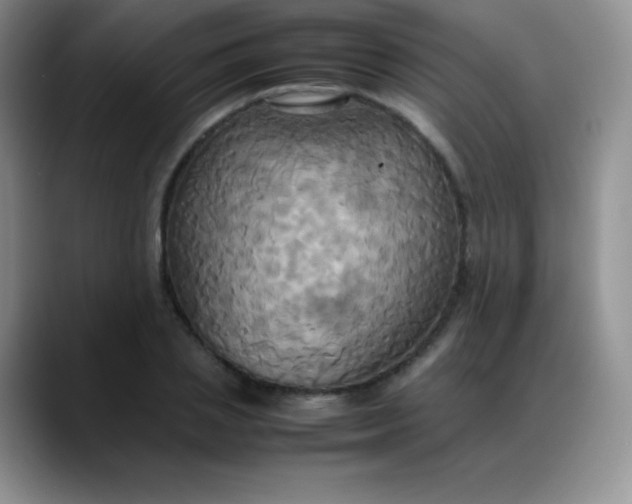 X0000088210837200705292051