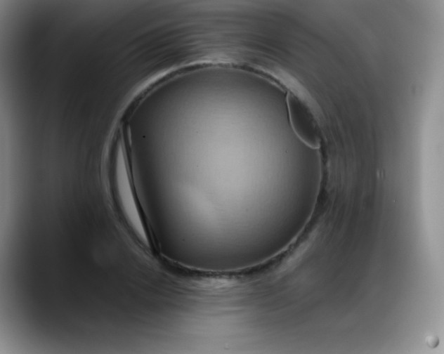 X0000088210838200705292051