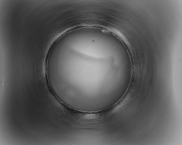 X0000088210839200705292051