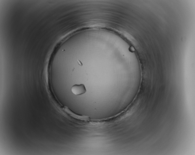 X0000088210840200705292051