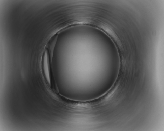X0000088210842200705292051