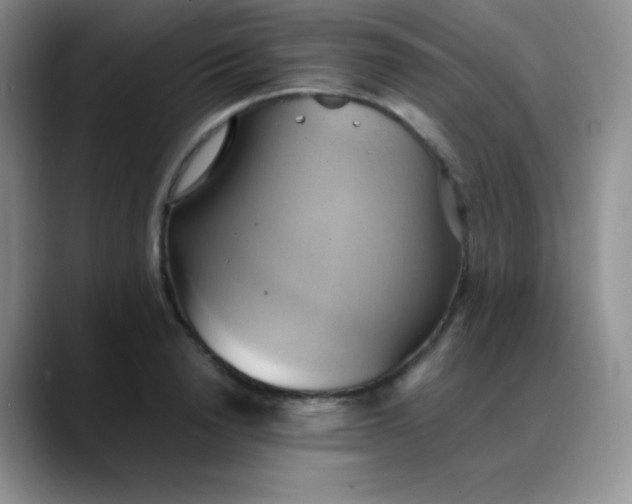 X0000088210846200705292051