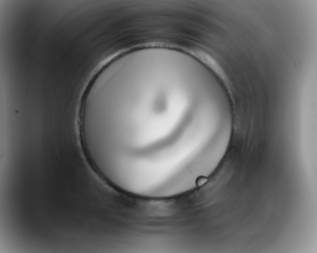 X0000088210847200705292051
