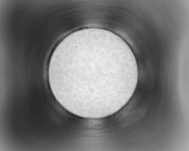 X0000088210848200705292051