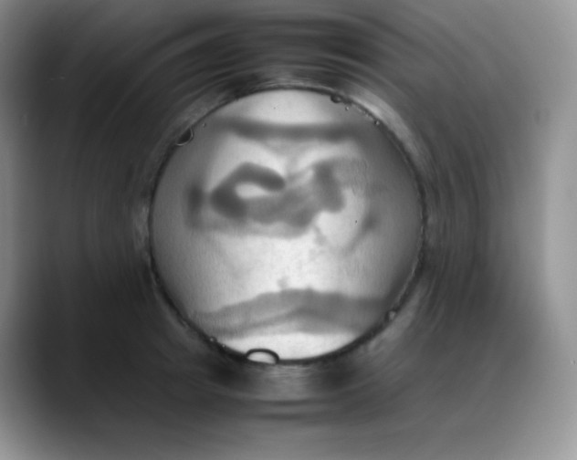 X0000088210849200705292051