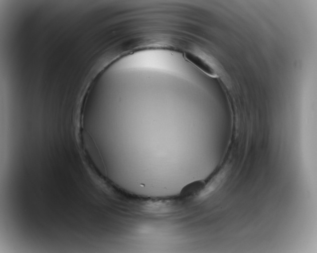 X0000088210850200705292051