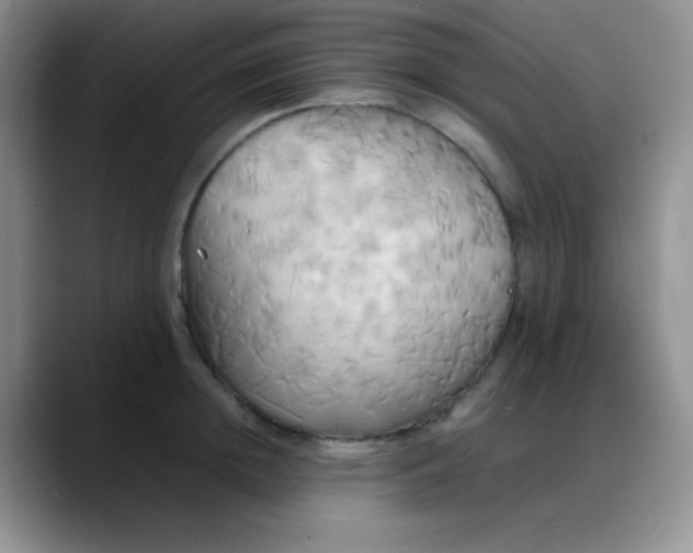 X0000088210852200705292051