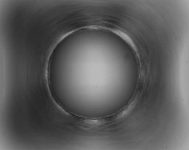 X0000088210855200705292051