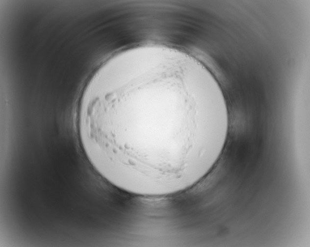 X0000088210856200705292051