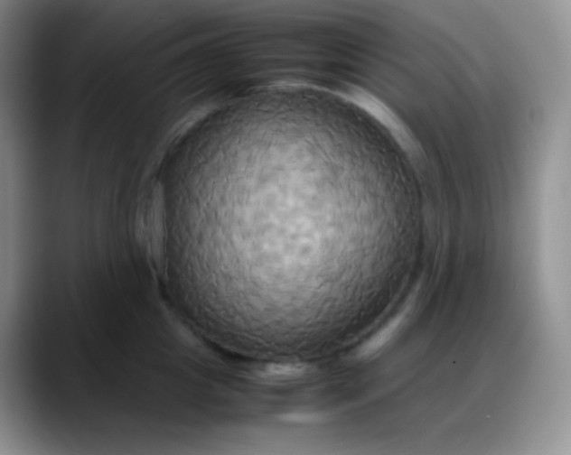 X0000088210857200705292051