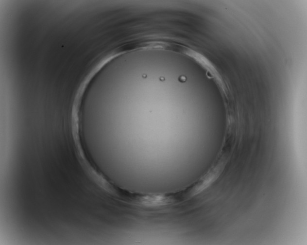X0000088210859200705292051