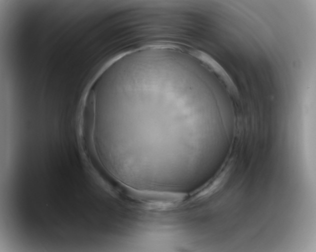 X0000088210860200705292051