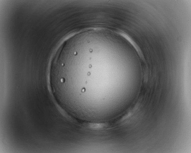 X0000088210861200705292051