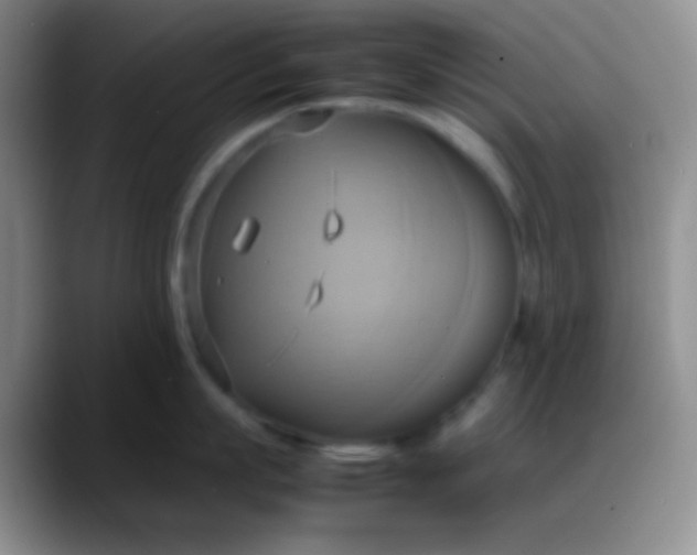 X0000088210863200705292051