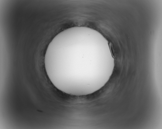 X0000088210865200705292050