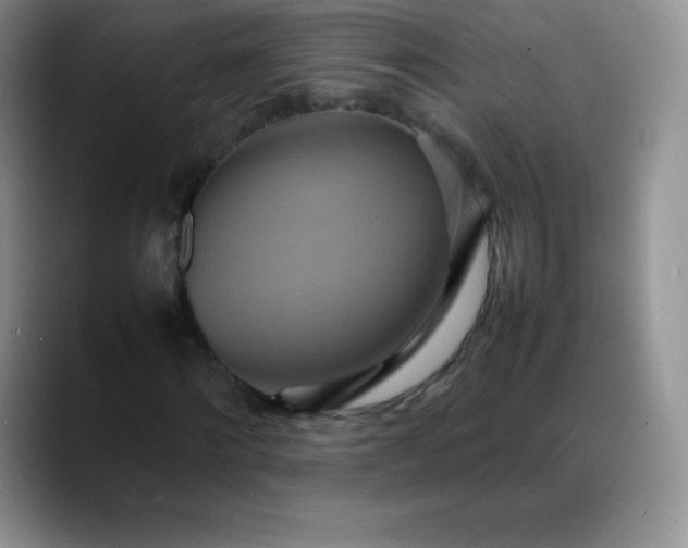 X0000088210868200705292050