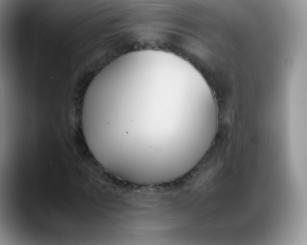 X0000088210869200705292050