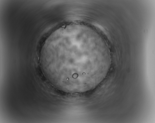 X0000088210871200705292050