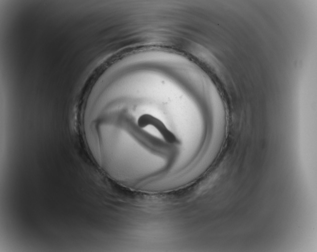 X0000088210875200705292050