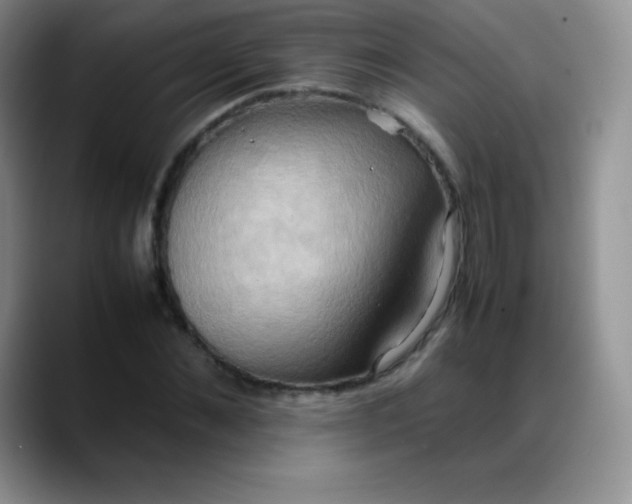 X0000088210876200705292050