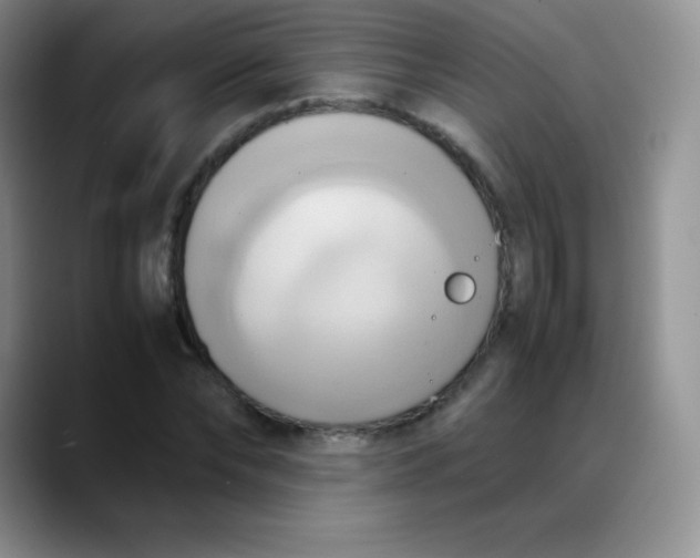 X0000088210878200705292050