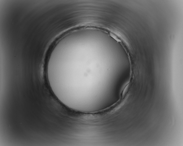 X0000088210880200705292050