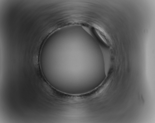 X0000088210881200705292050