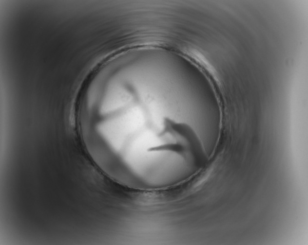 X0000088210883200705292050