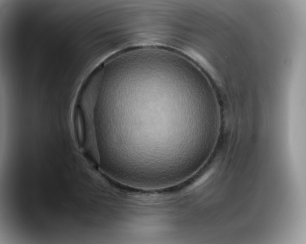 X0000088210885200705292050