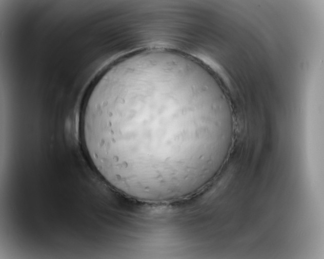 X0000088210886200705292050