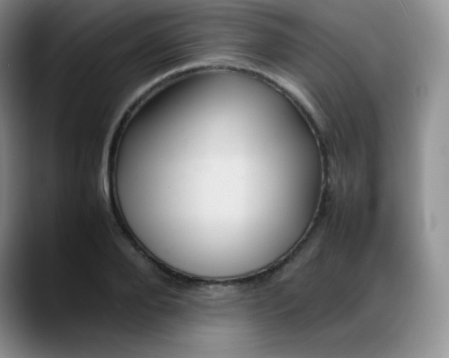 X0000088210888200705292050