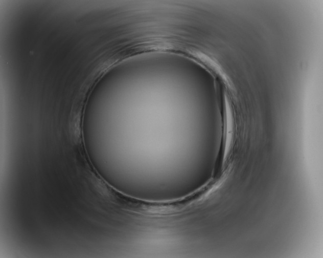 X0000088210889200705292050