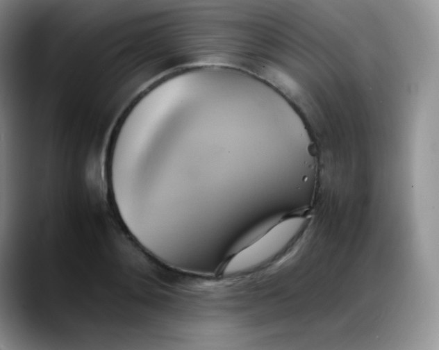 X0000088210892200705292050
