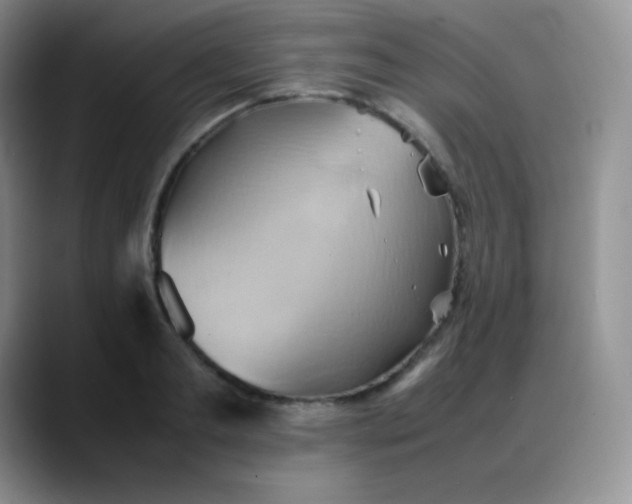 X0000088210893200705292050