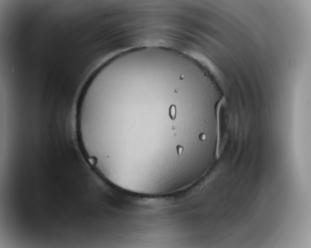 X0000088210894200705292050