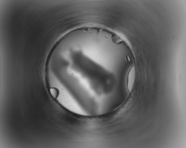 X0000088210895200705292050