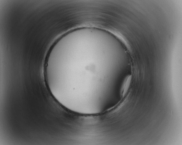 X0000088210896200705292050