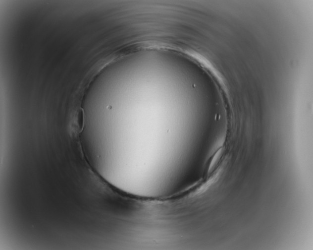 X0000088210897200705292050