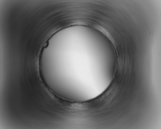 X0000088210898200705292050