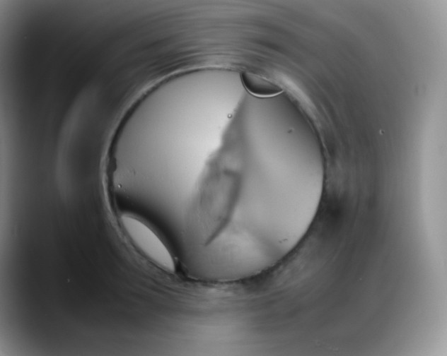 X0000088210899200705292050