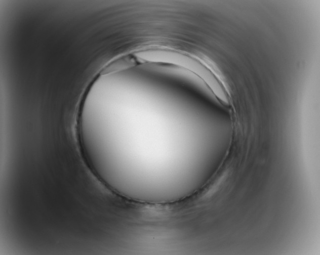 X0000088210901200705292050